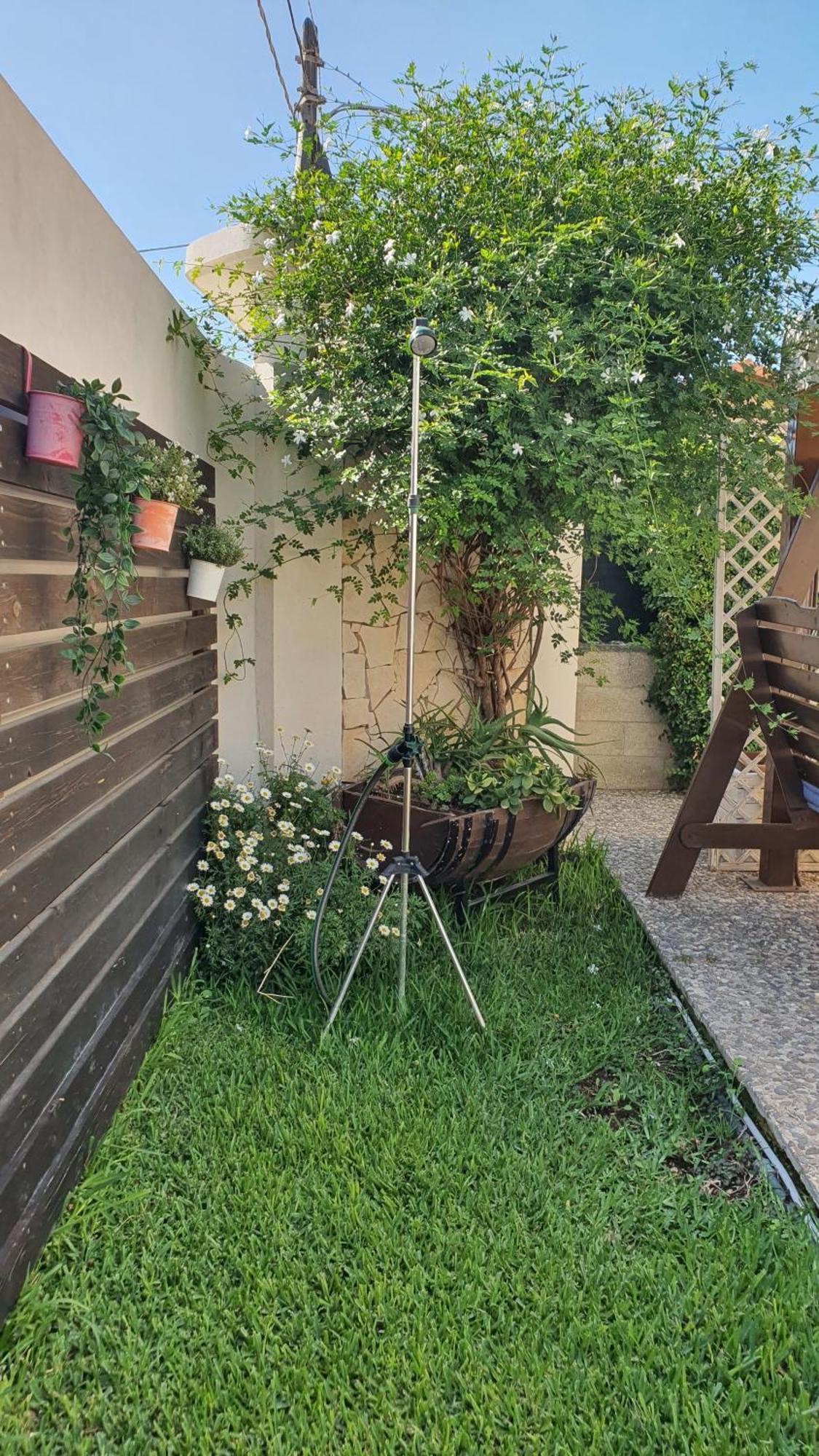 アヴォラ La Rosa Dei Venti Bed & Breakfast エクステリア 写真